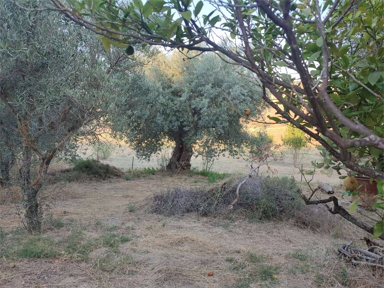  - foto 7