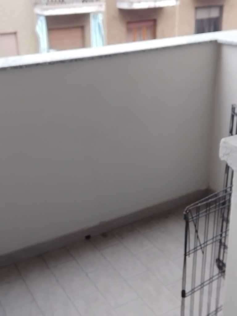  - foto 12
