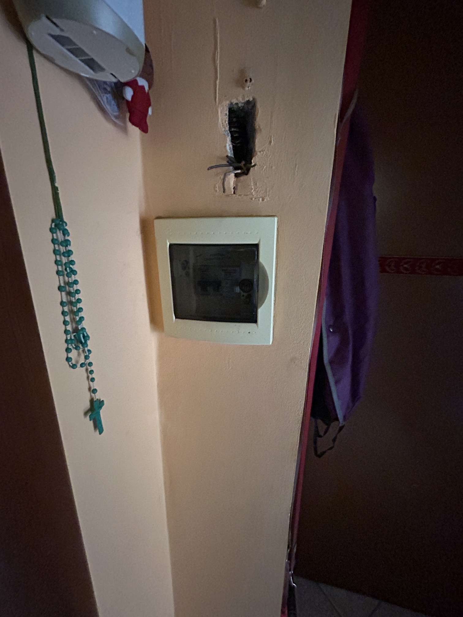  - foto 8