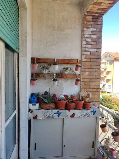  - foto 14