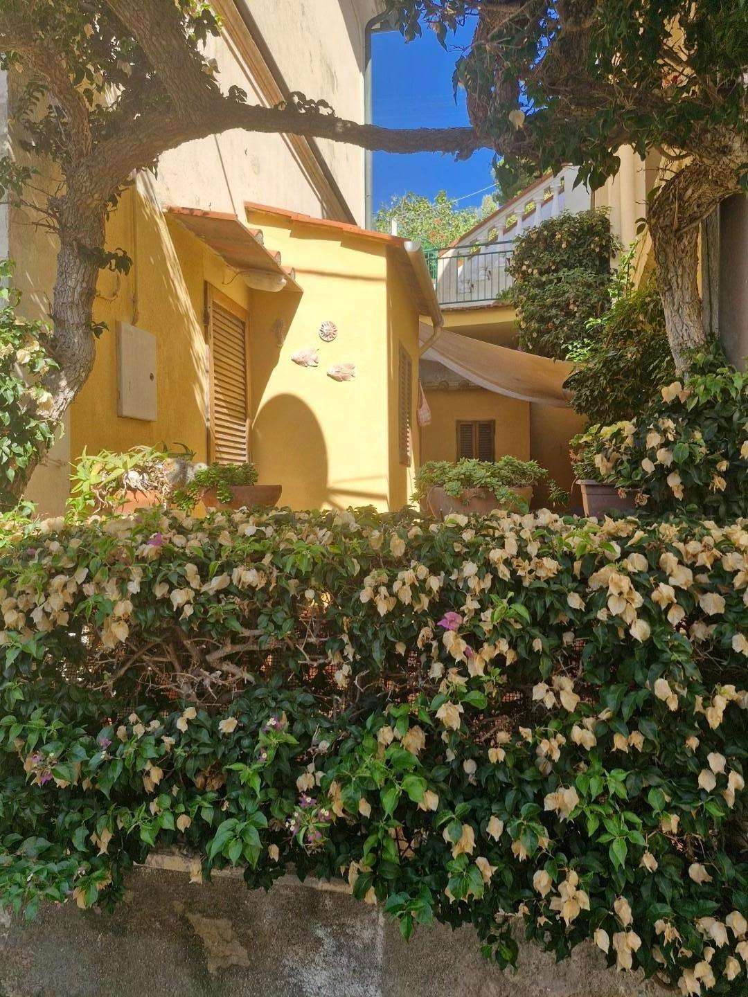  - foto 31