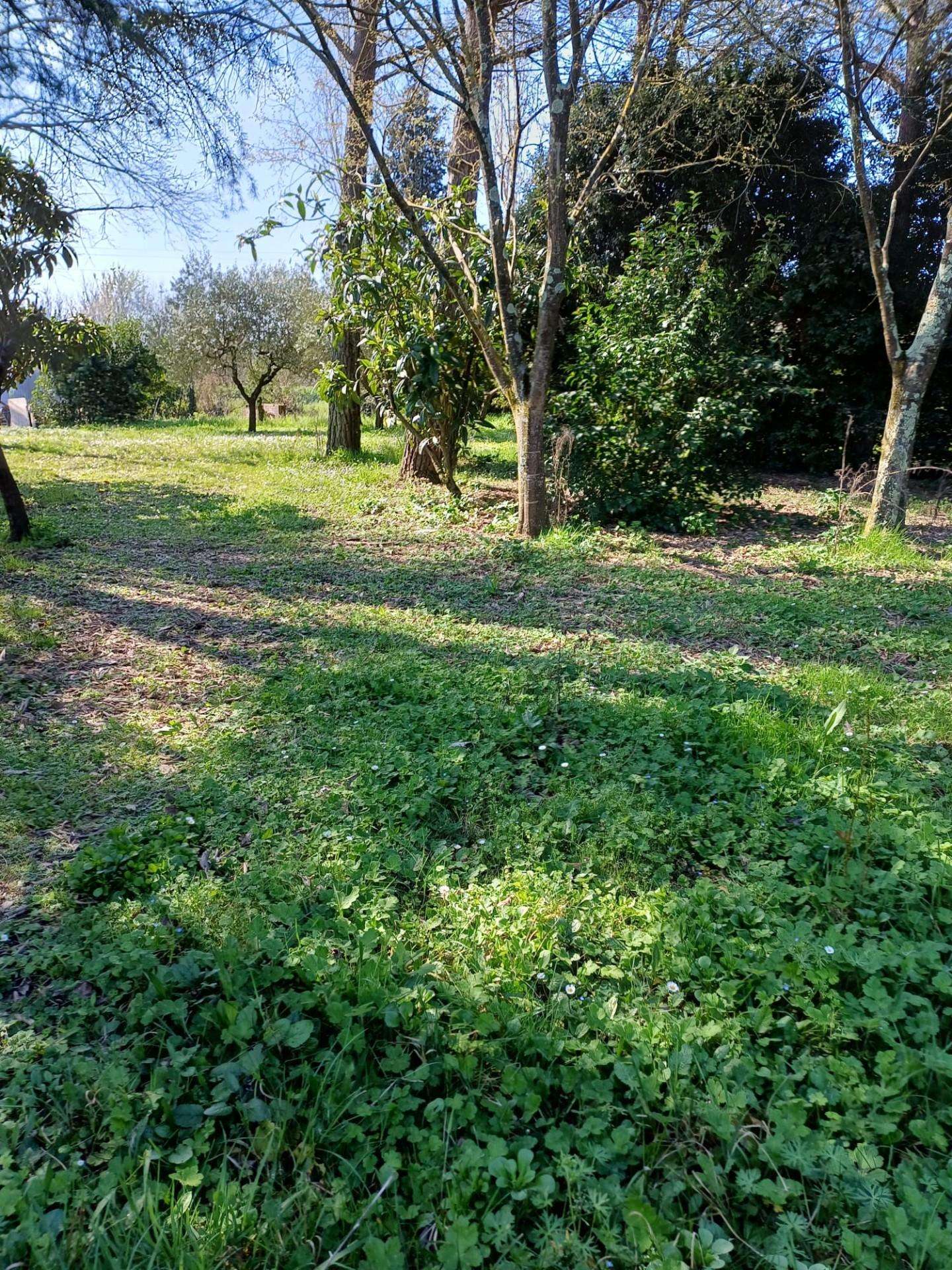  - foto 35