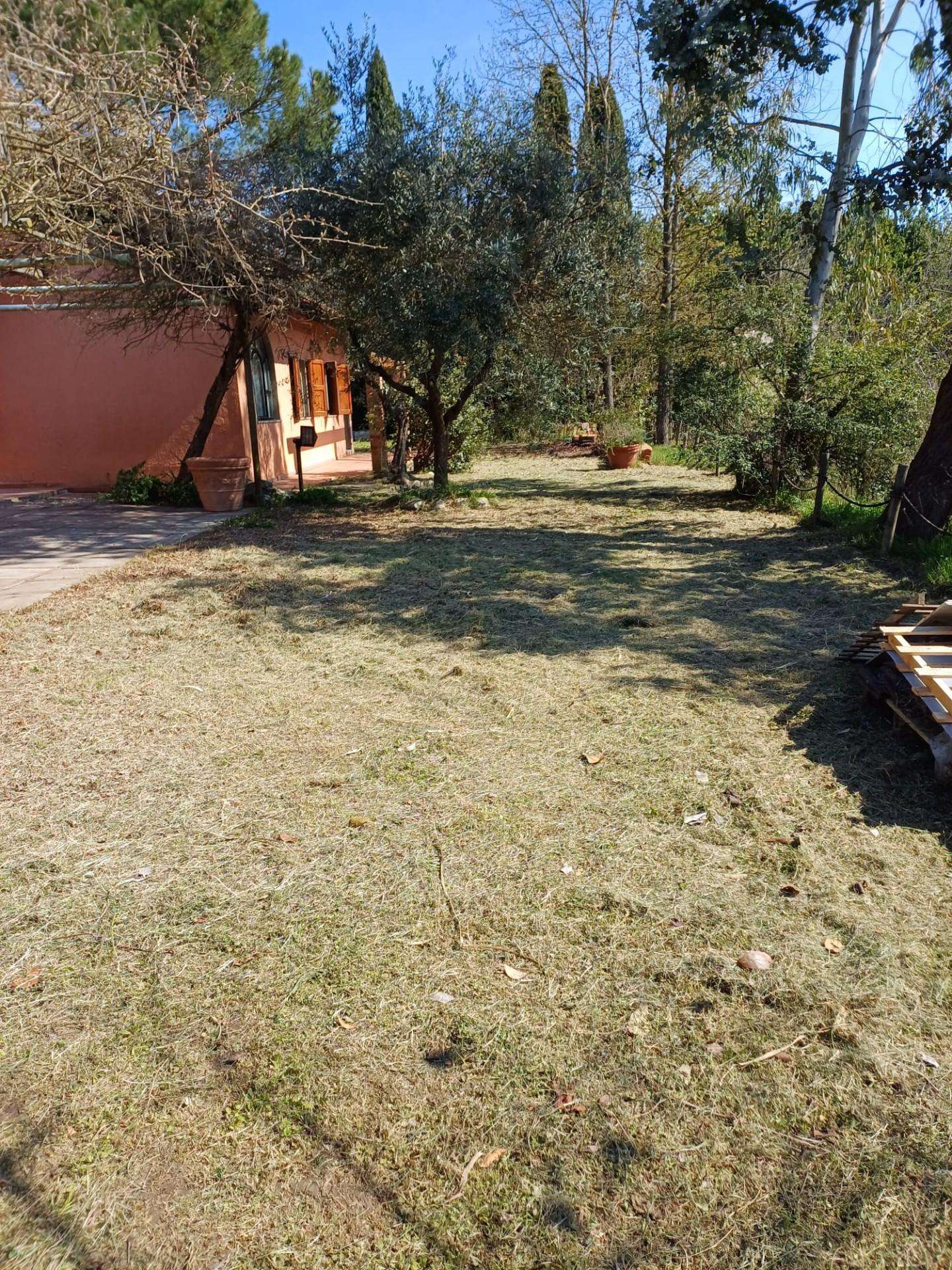  - foto 47