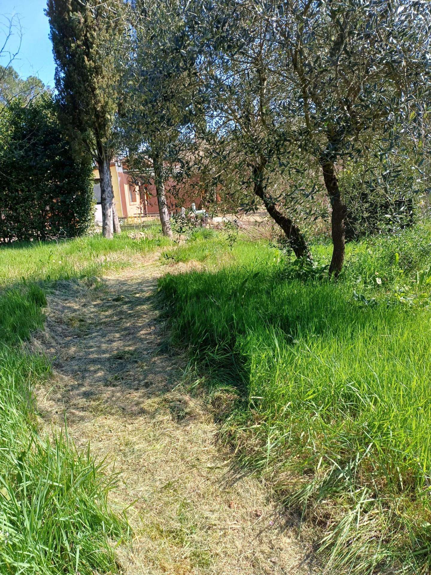  - foto 51