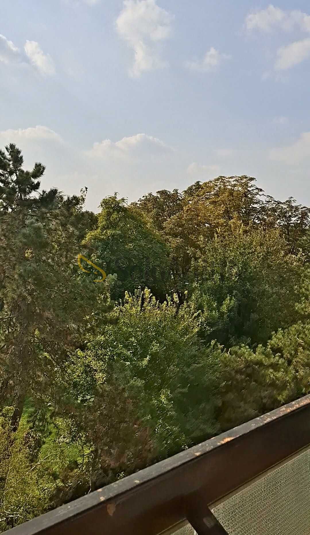  - foto 16
