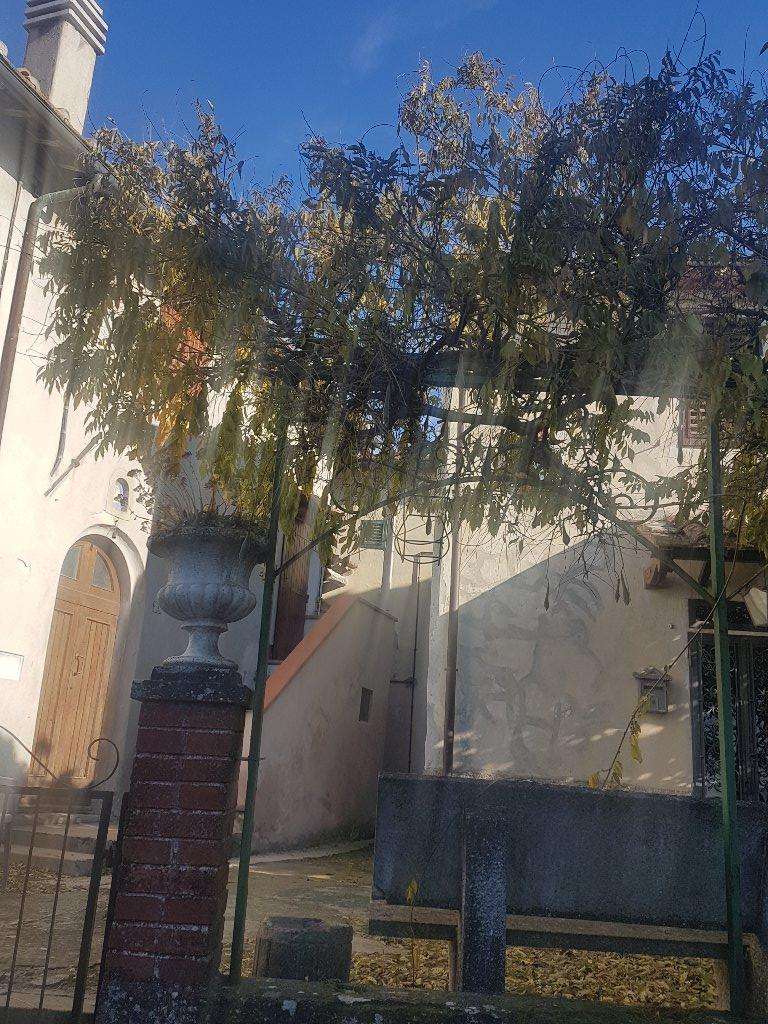  - foto 21