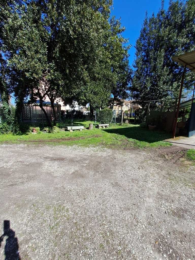  - foto 24