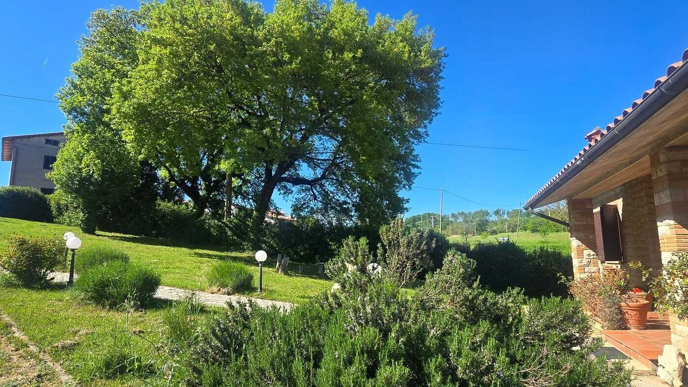  - foto 28