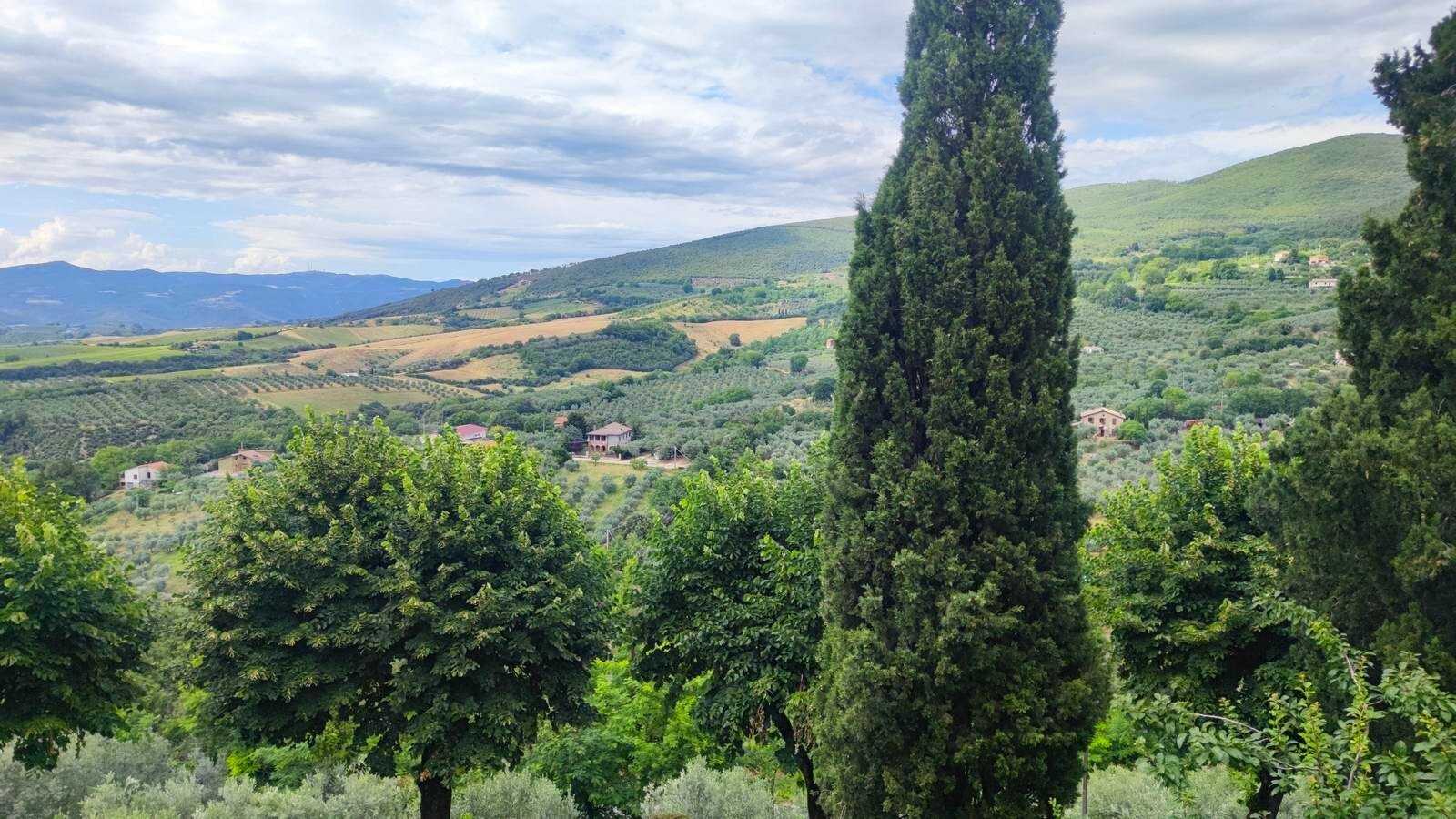  - foto 34
