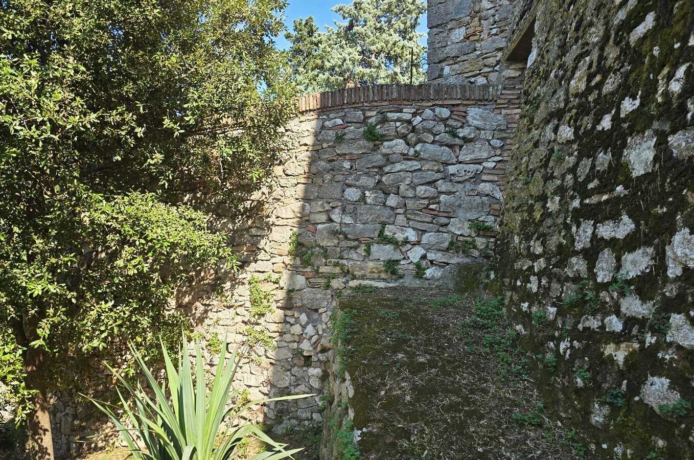  - foto 39