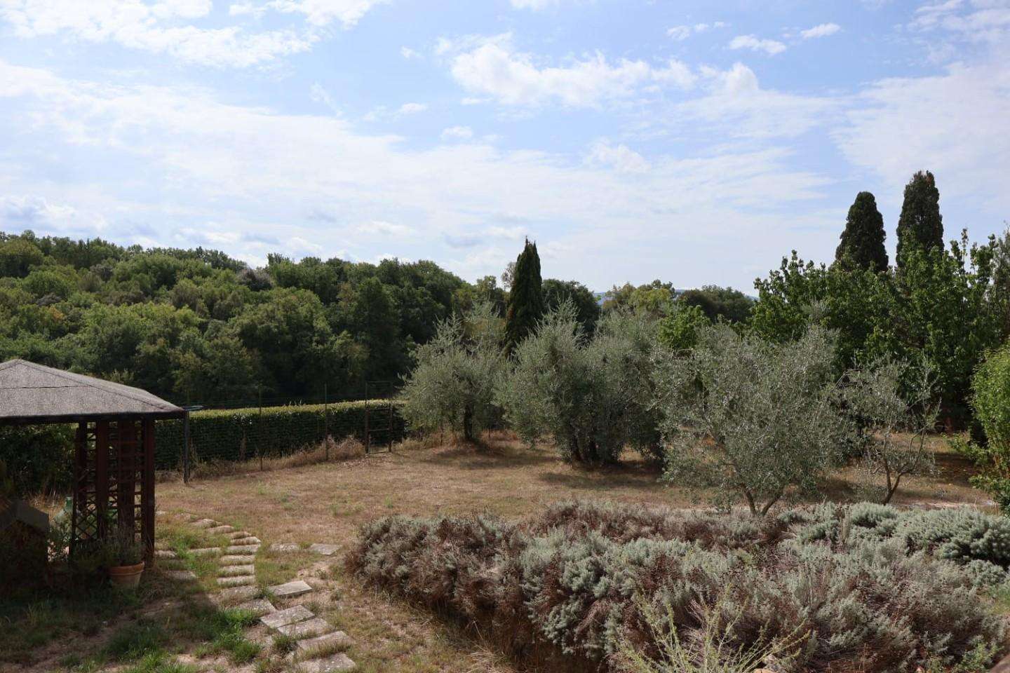  - foto 2