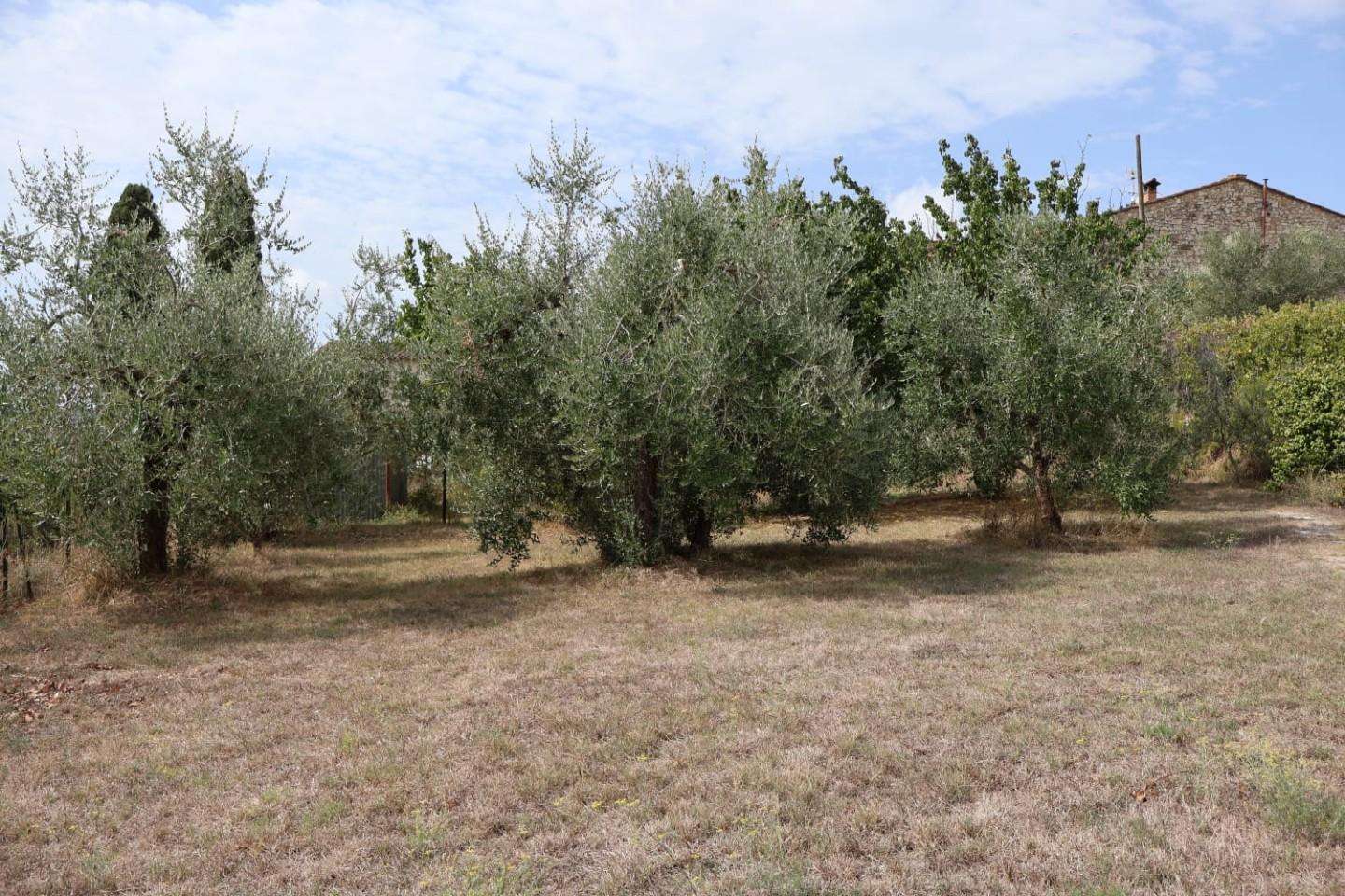  - foto 43