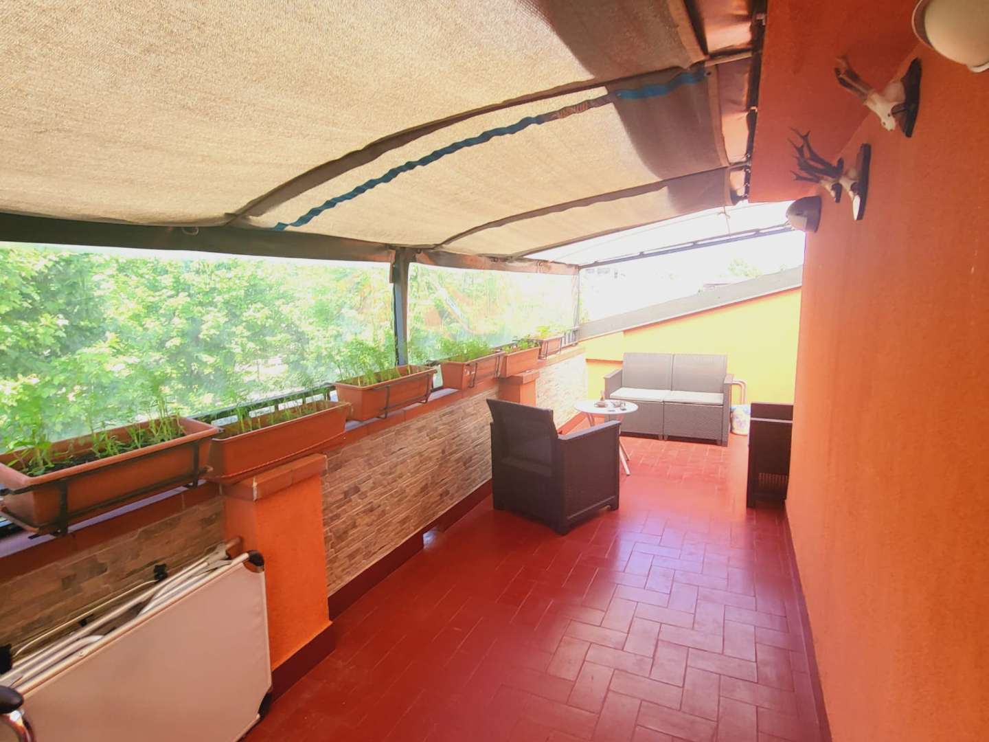  - foto 6
