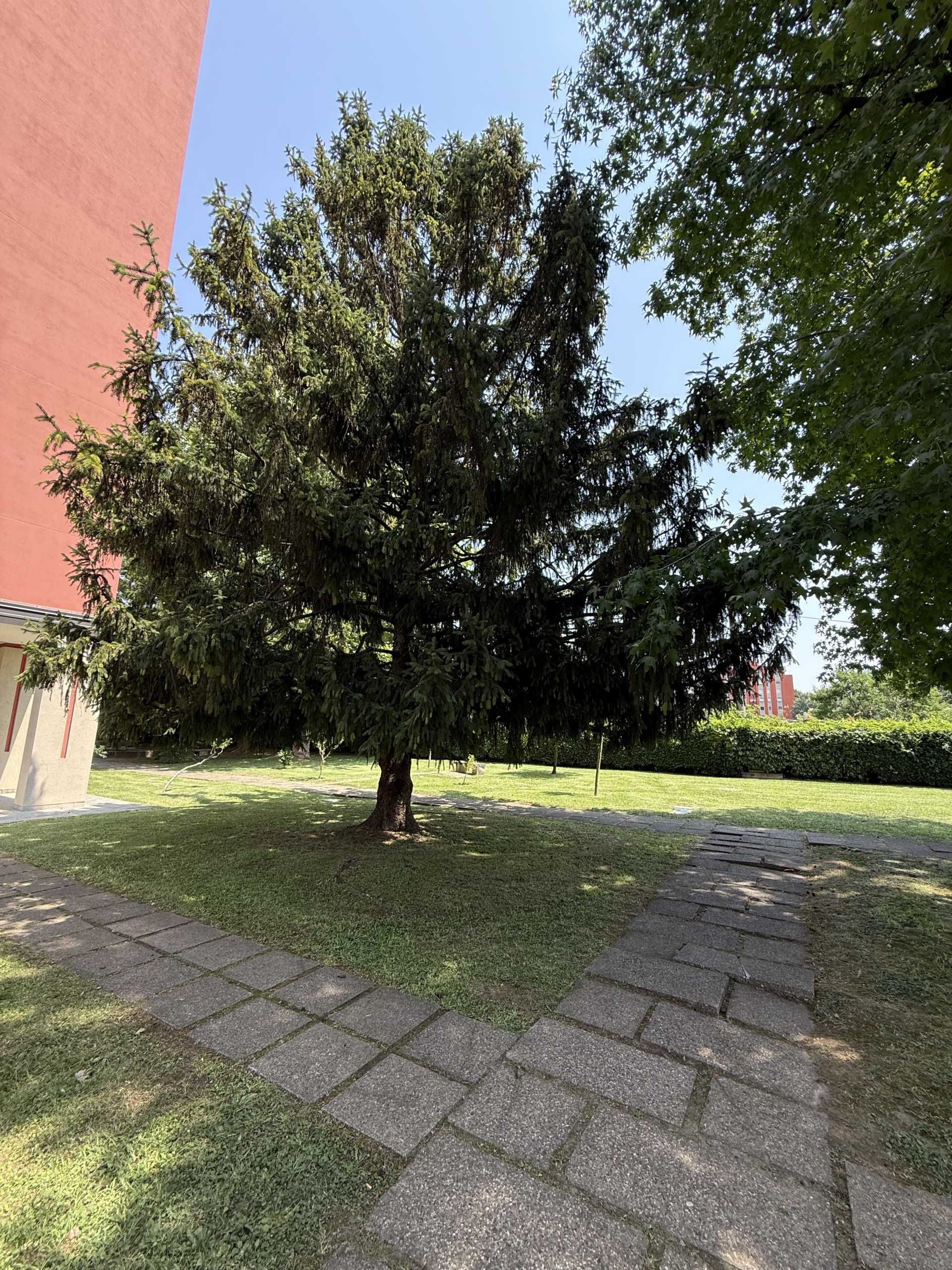  - foto 64