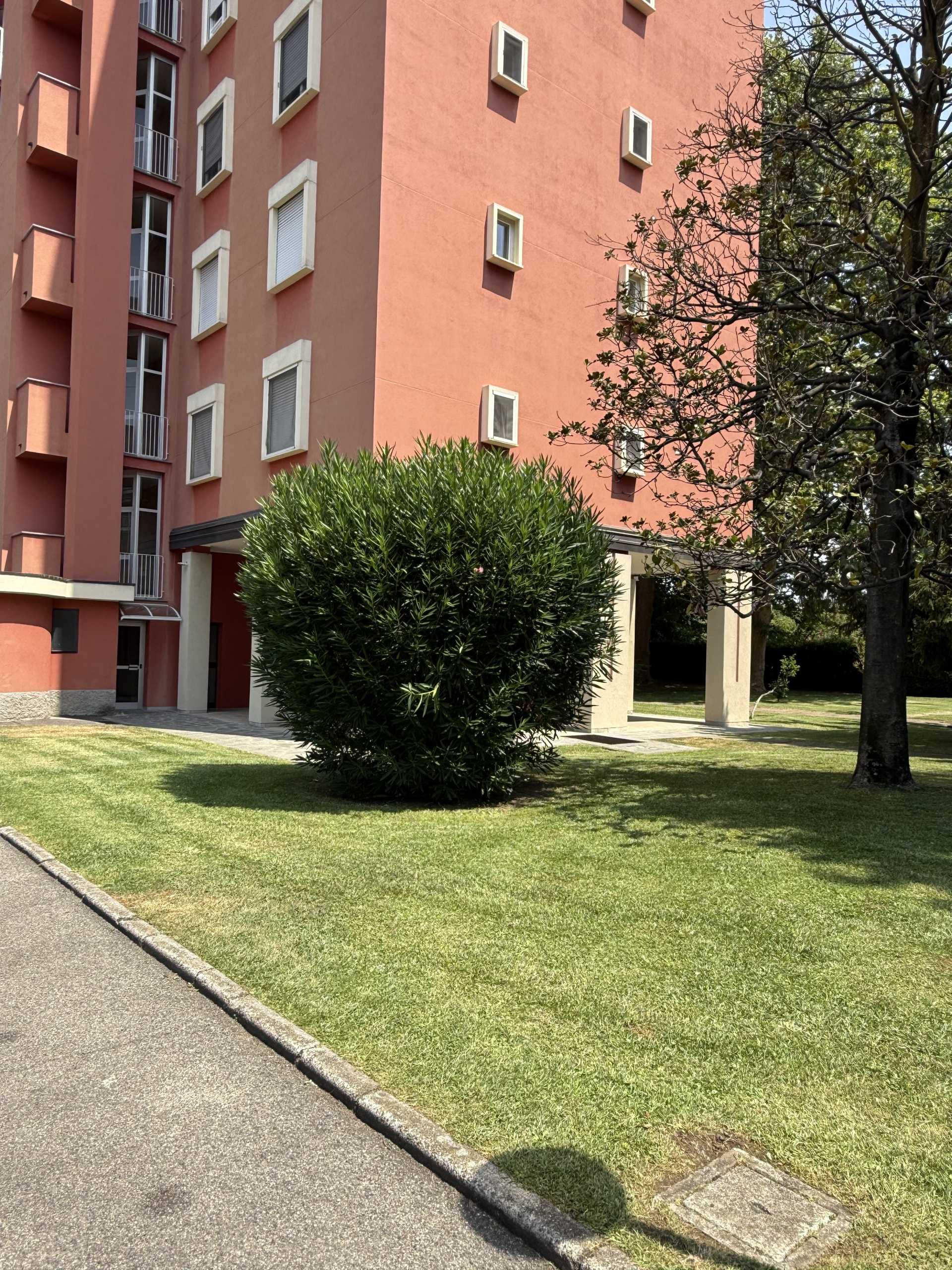  - foto 65