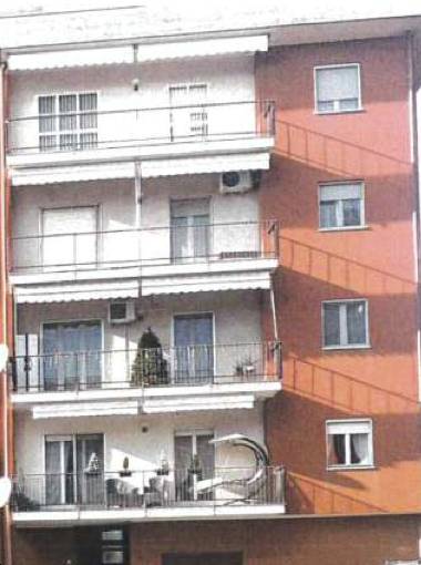  - foto 5