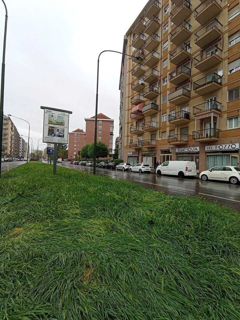  - foto 4