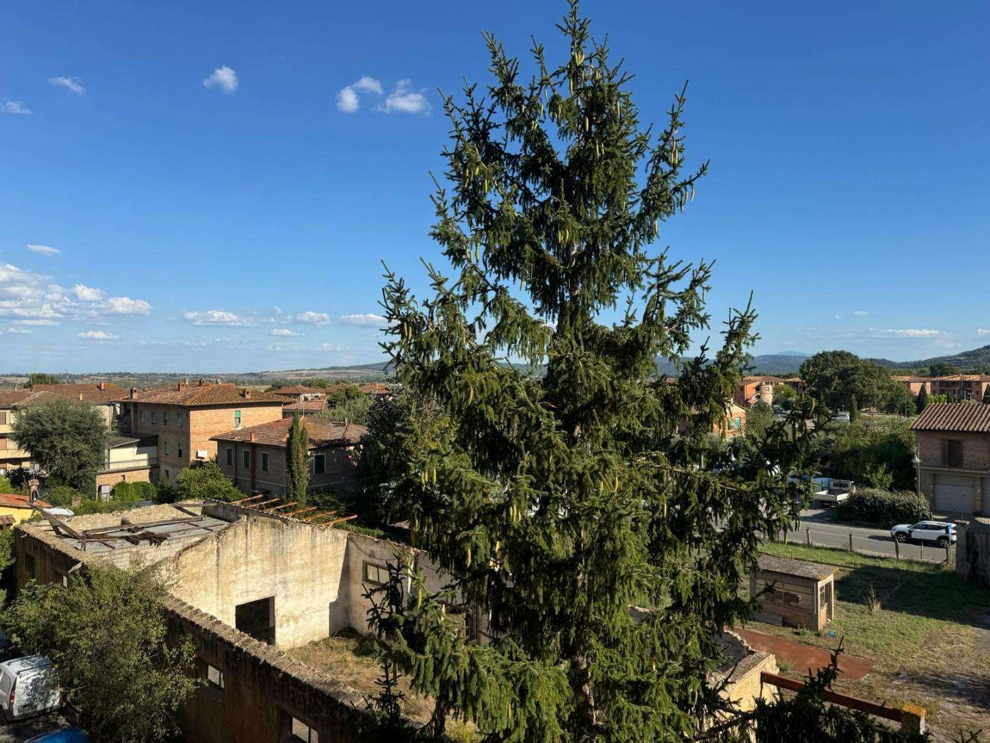  - foto 12