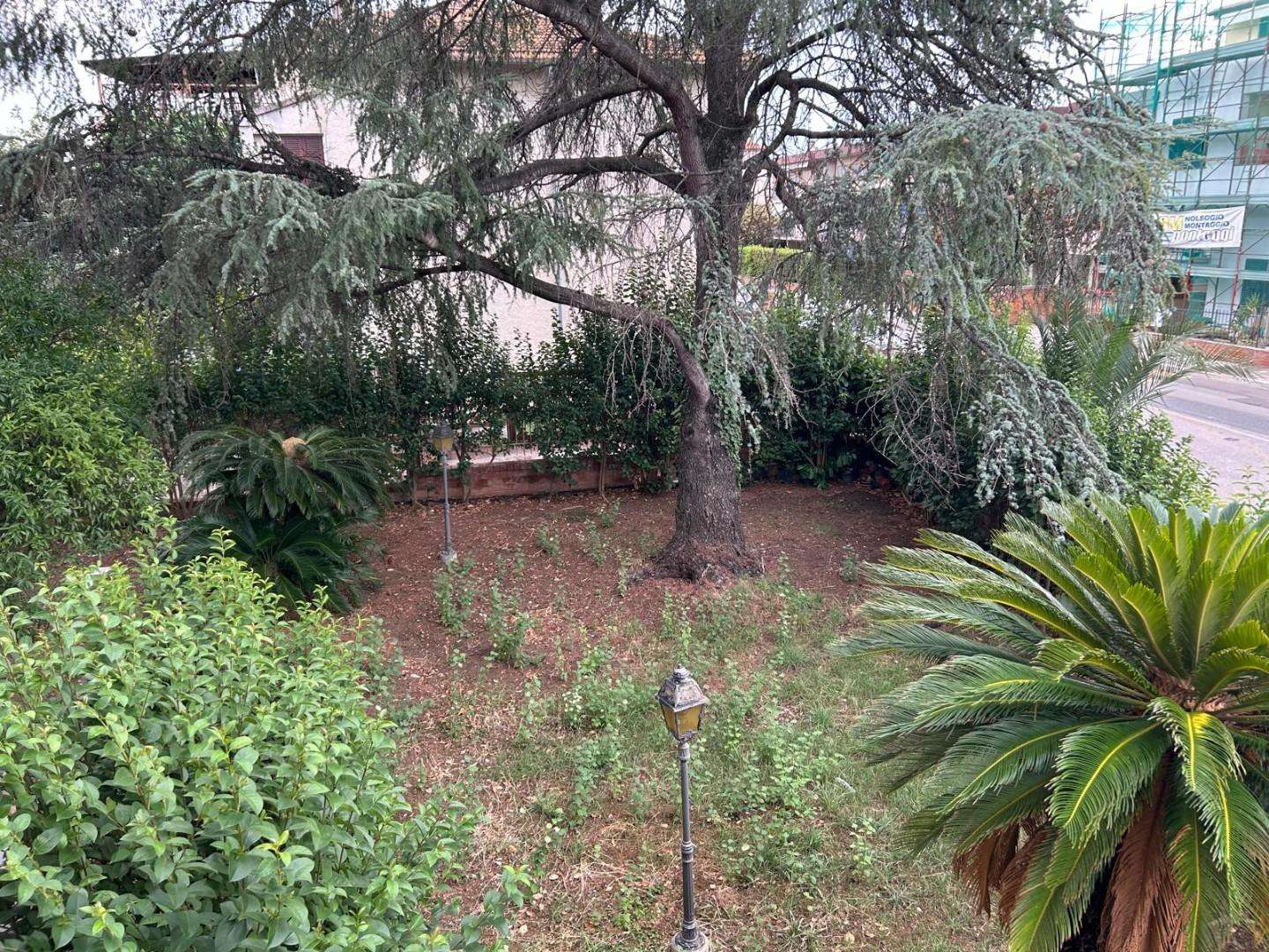  - foto 11