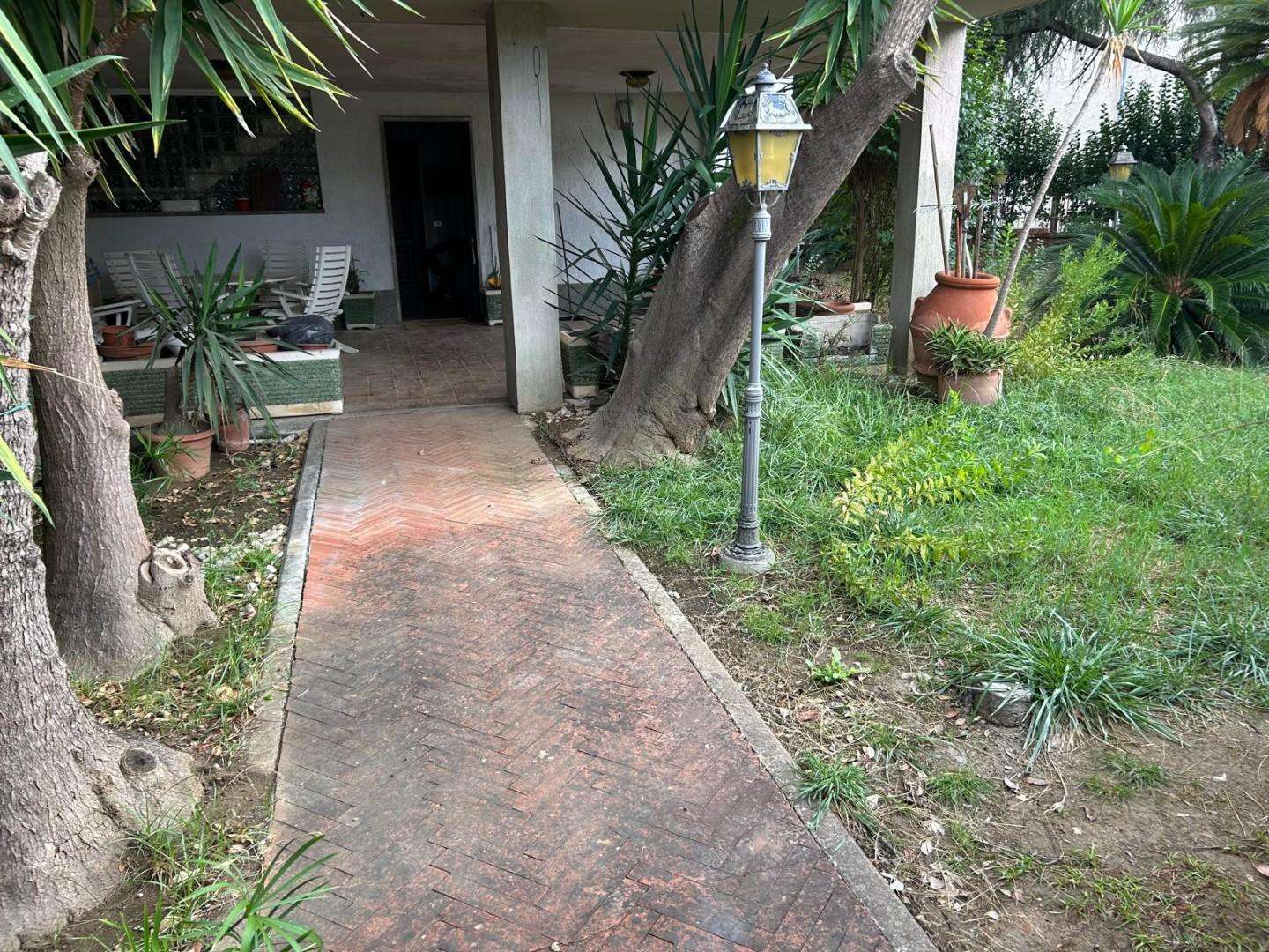  - foto 17