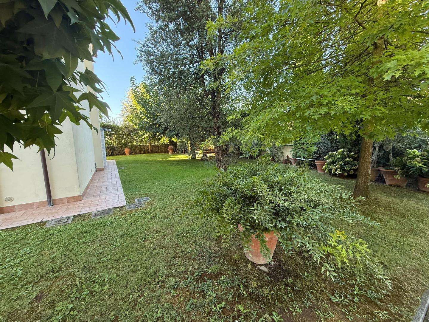  - foto 12