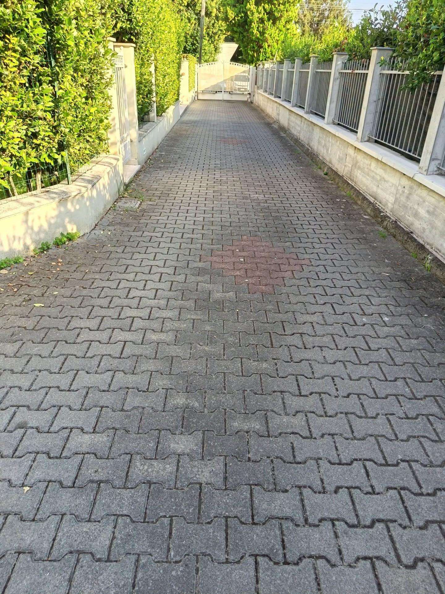  - foto 12