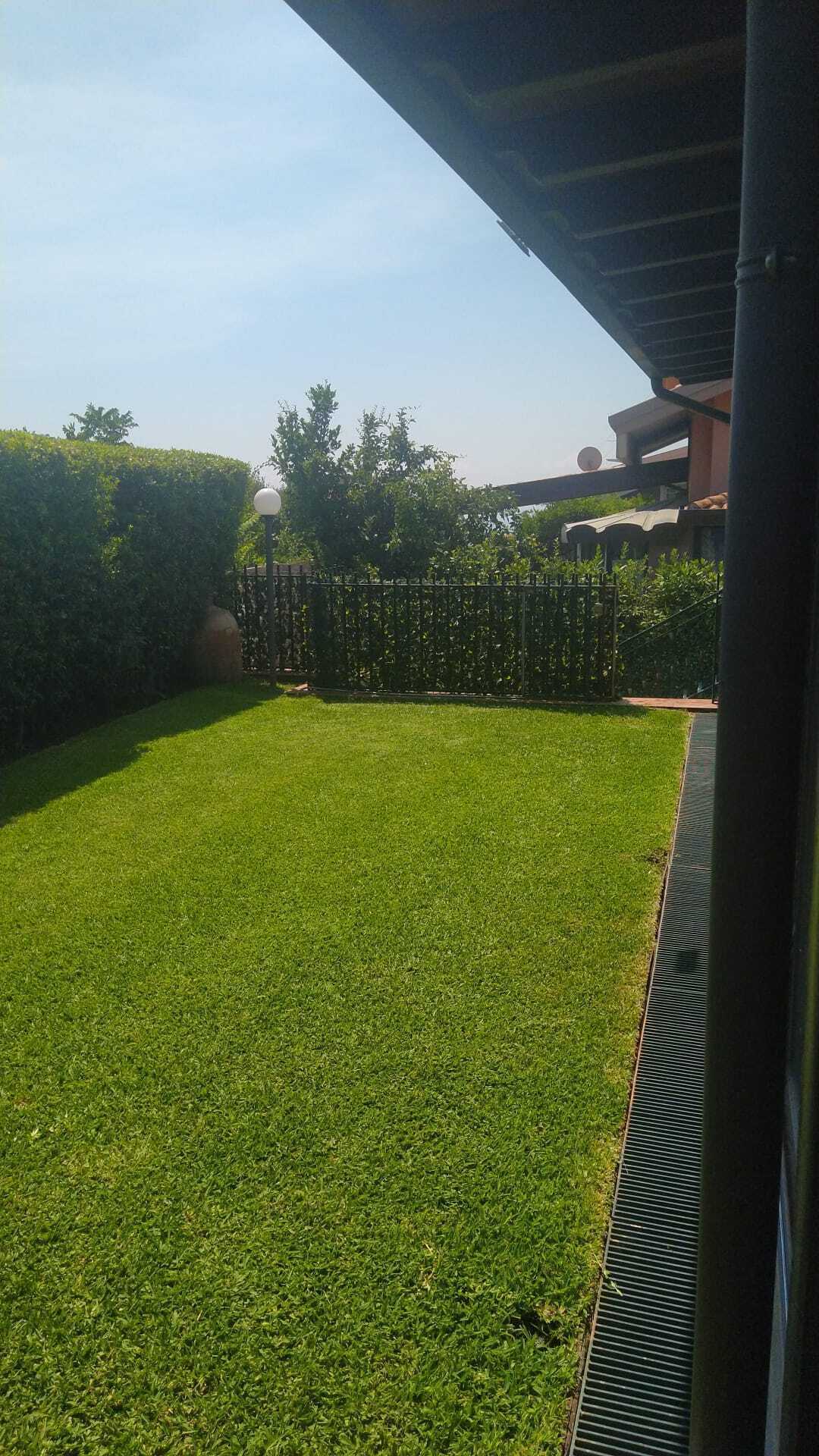  - foto 36