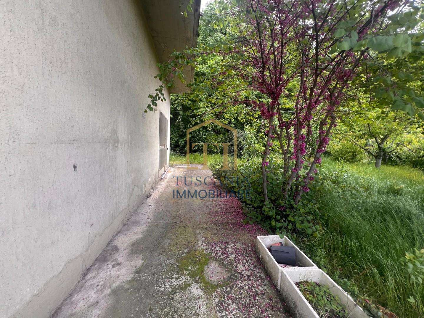  - foto 11