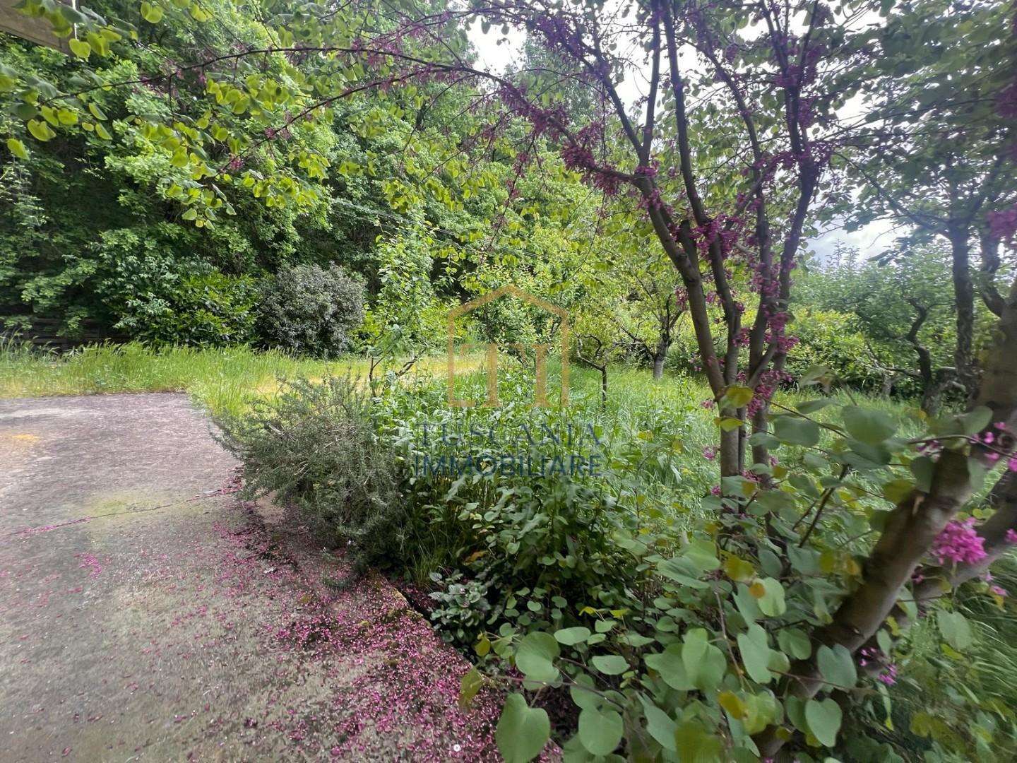  - foto 13