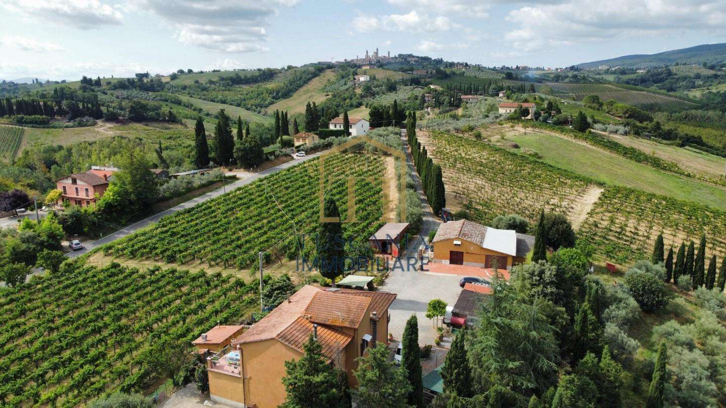 Azienda agricola Località Casale,, San Gimignano