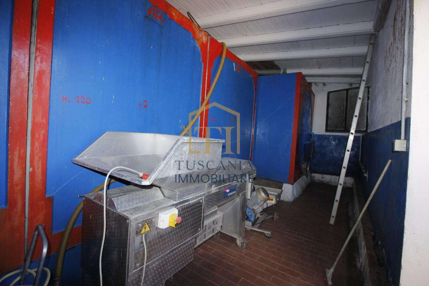  - foto 12