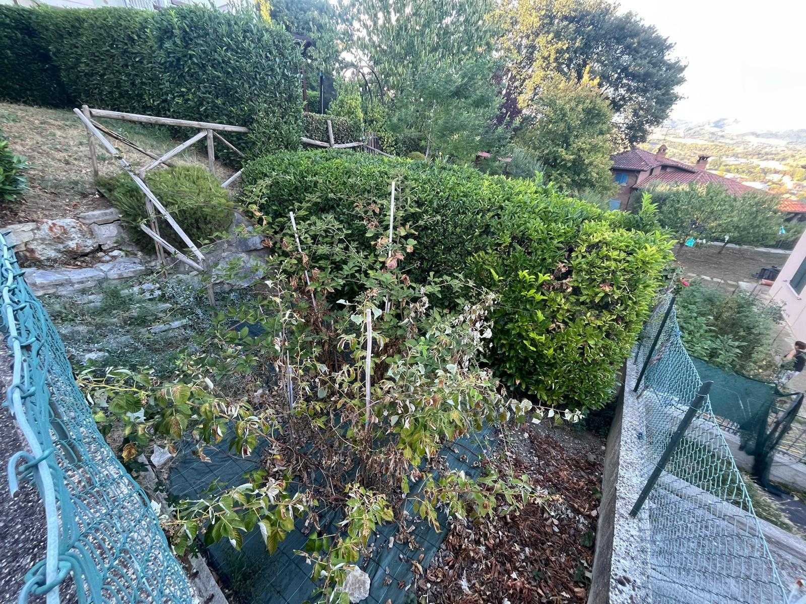  - foto 23