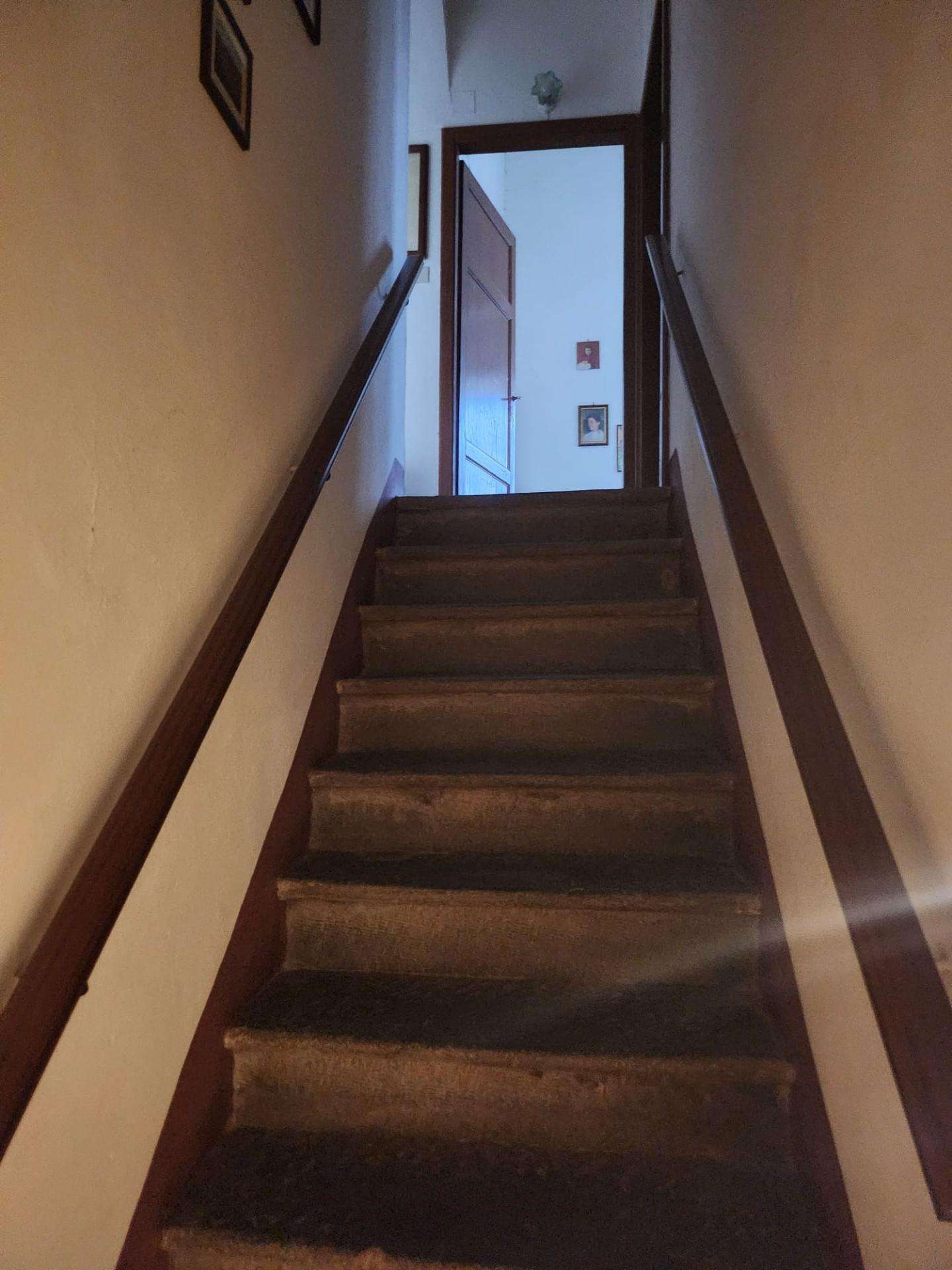  - foto 24