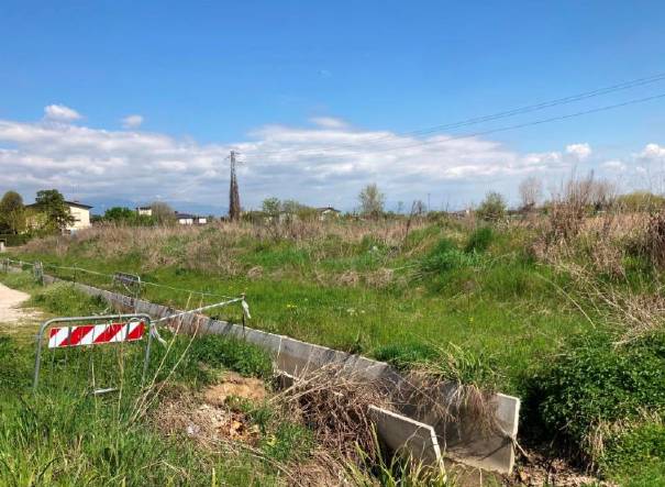 Altro Via Tiso da Camposampiero, Cittadella