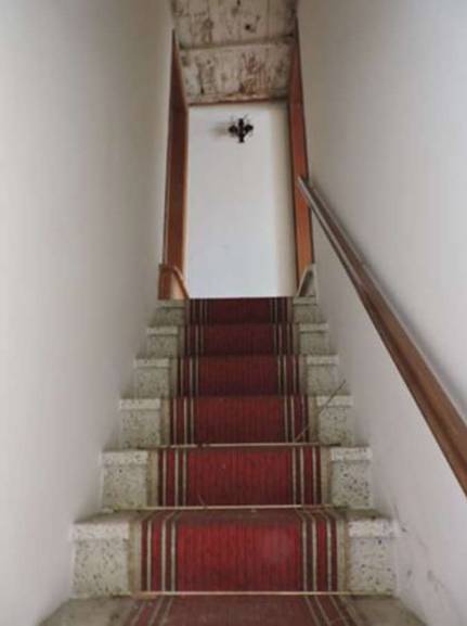  - foto 6