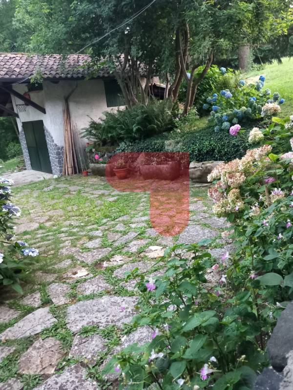  - foto 10