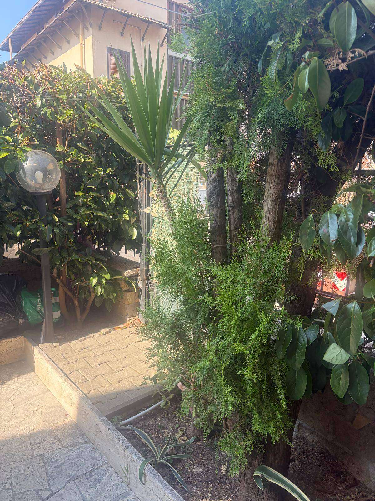  - foto 34