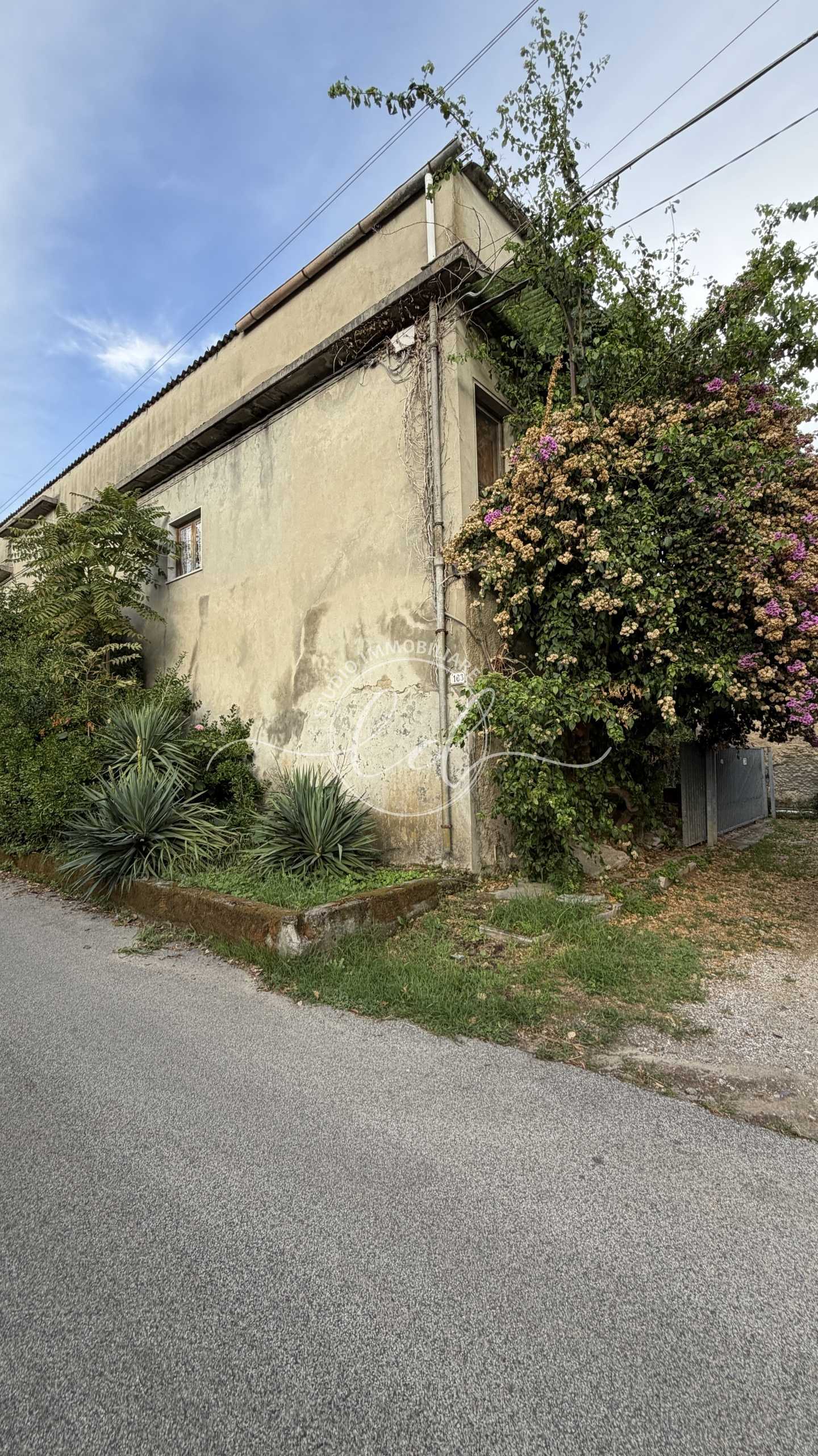  - foto 101