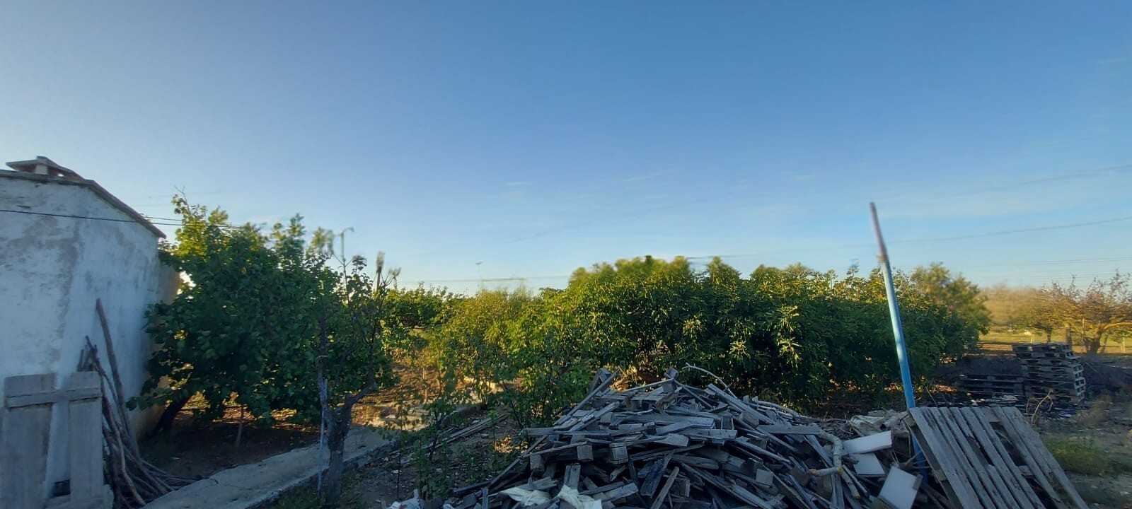  - foto 24