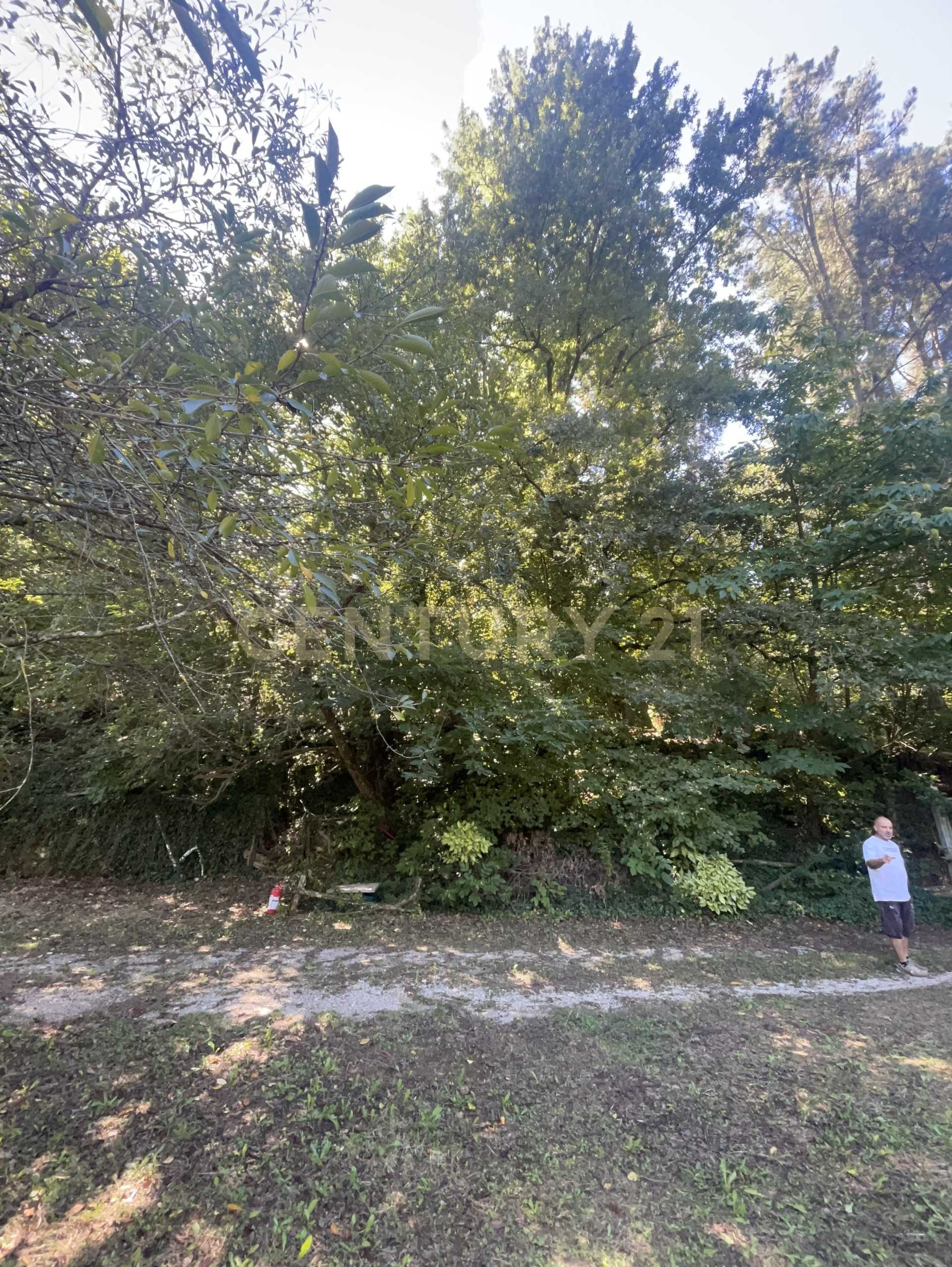 - foto 20