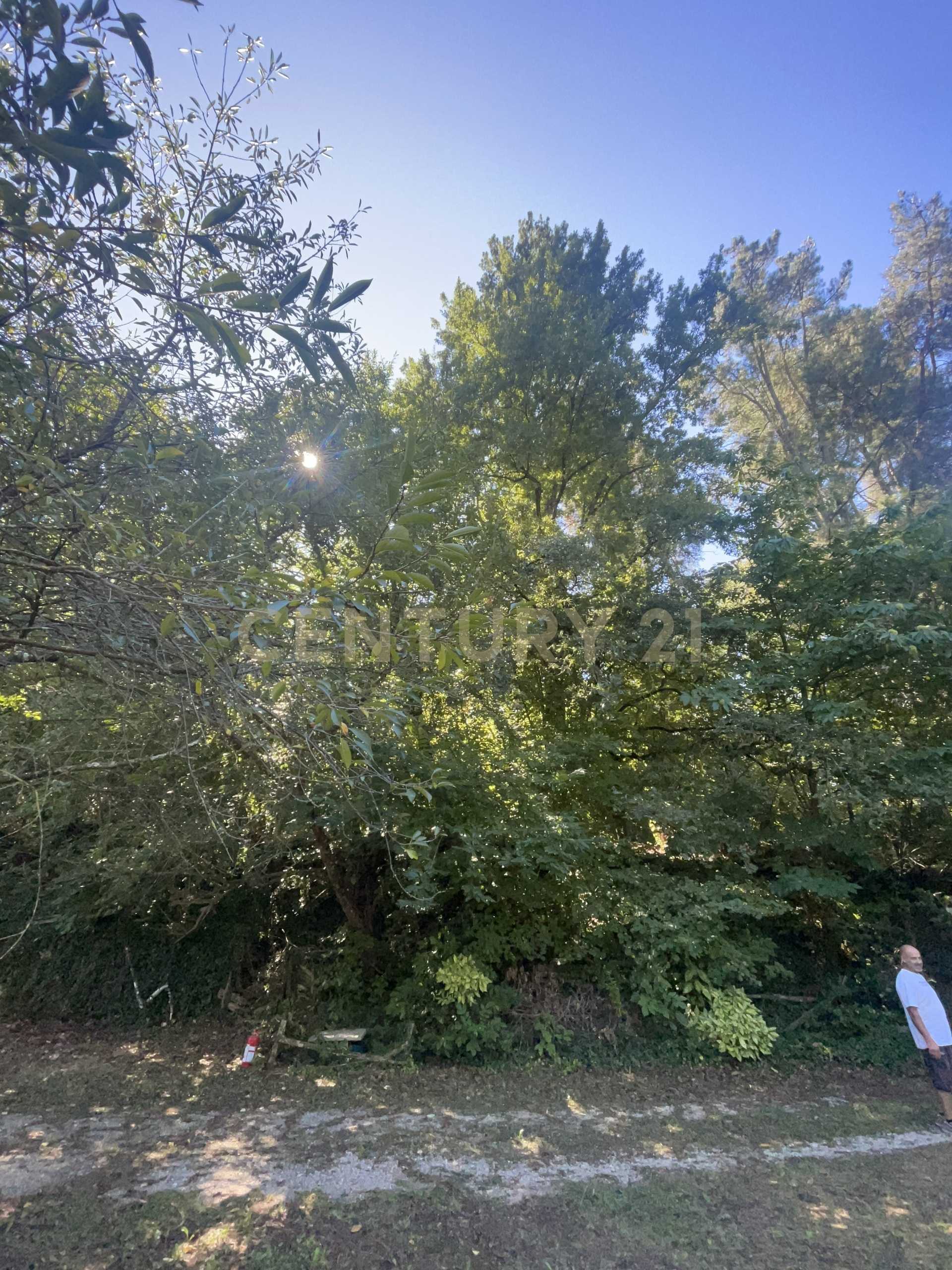  - foto 21