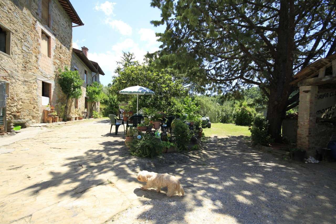  - foto 21