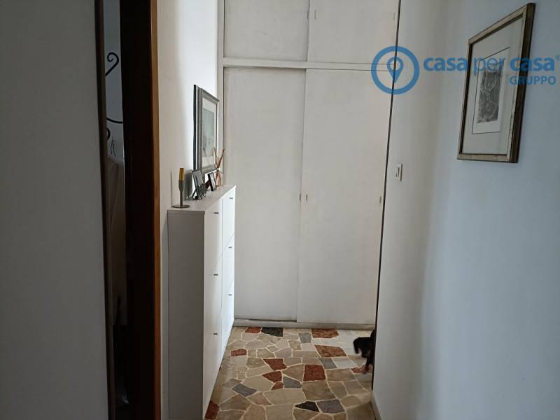  - foto 7