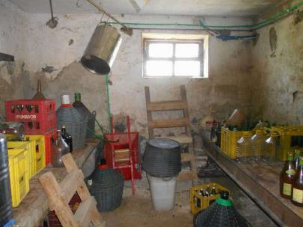  - foto 7
