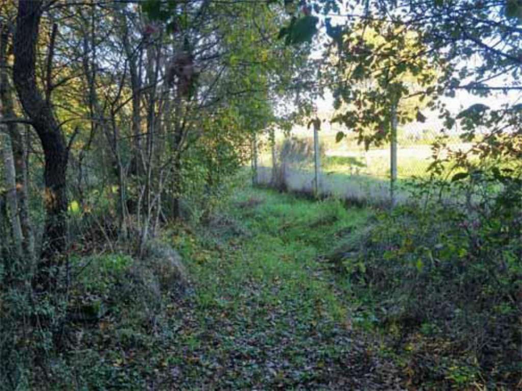  - foto 14