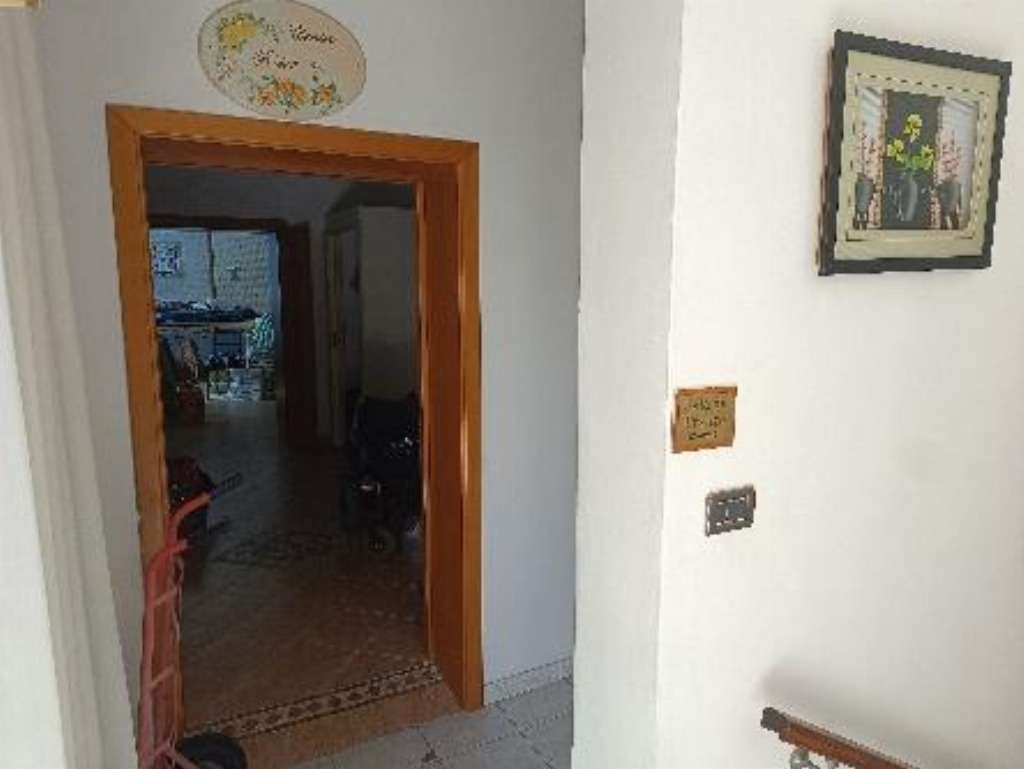  - foto 11