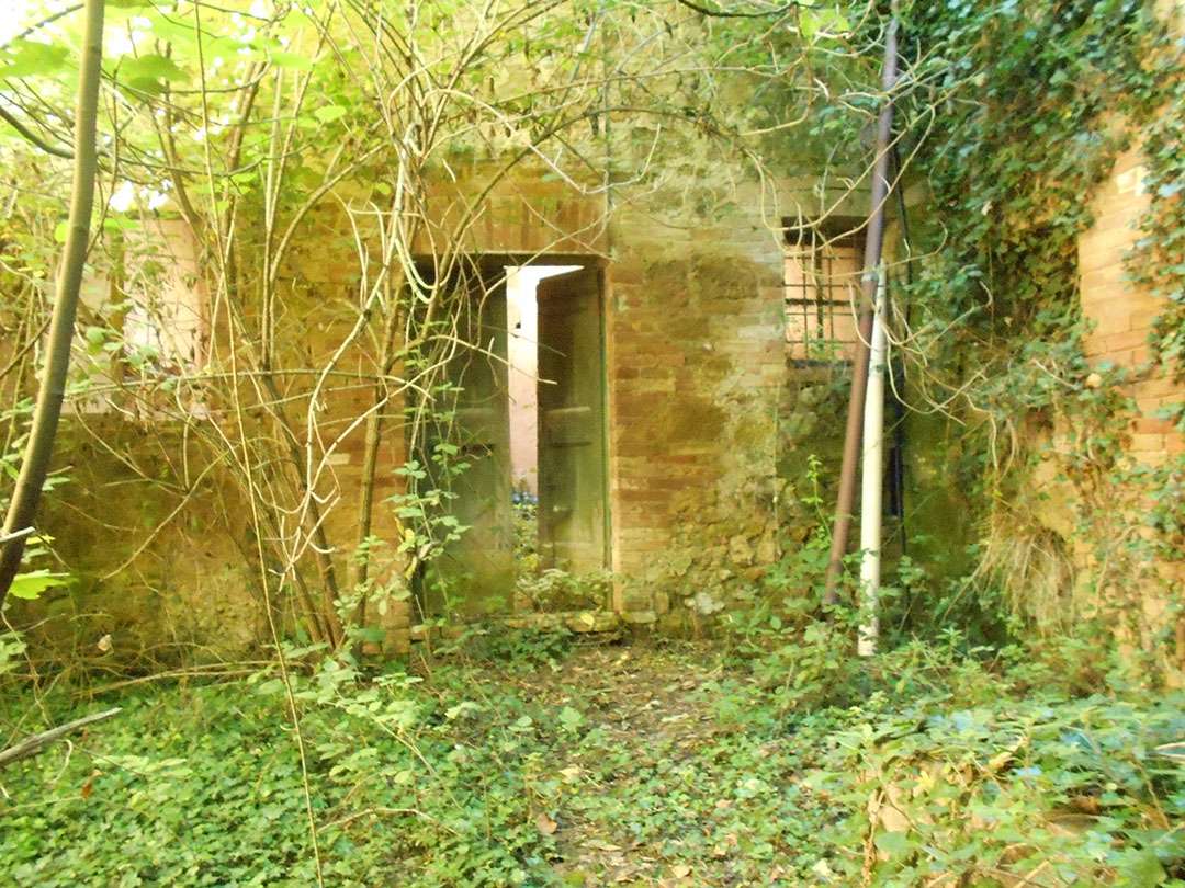  - foto 12