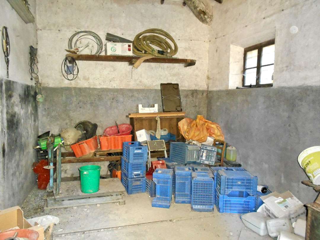  - foto 3