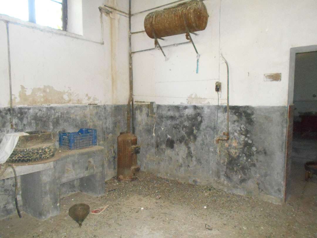  - foto 4