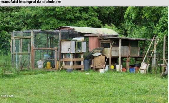  - foto 11